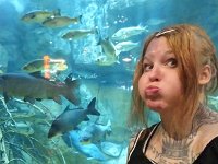 27153183 1412695292190629 1102749898 n