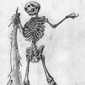 118    skeleton01.jpg