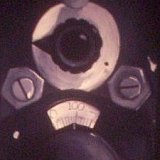 99 {Ninety Nine}  Picasa   http://www.lilybutterland.com/home/gallery/