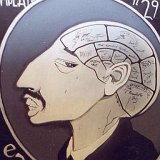 Phenology  Picasa   http://www.lilybutterland.com/home/gallery/