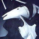 Feveraory  Picasa   http://www.lilybutterland.com/home/gallery/