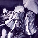 Scharr House  Picasa   http://www.lilybutterland.com/home/gallery/